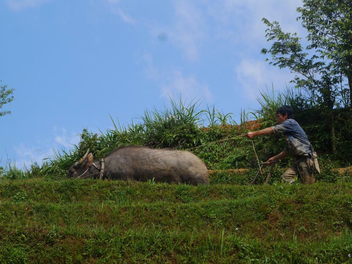 Apartament Hmong Sister House And Trekking Sa Pa Zewnętrze zdjęcie